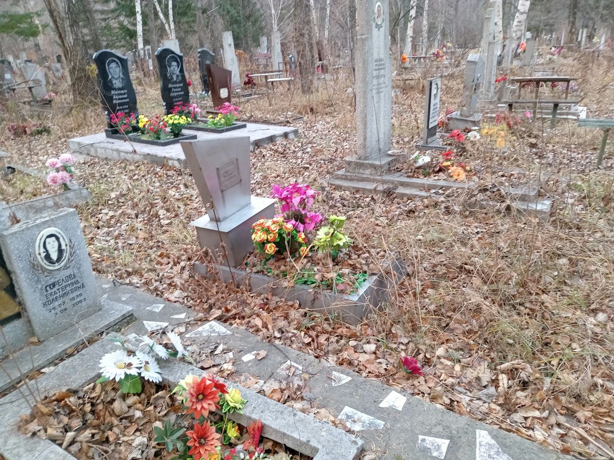 Барбашова Надежда Владимировна