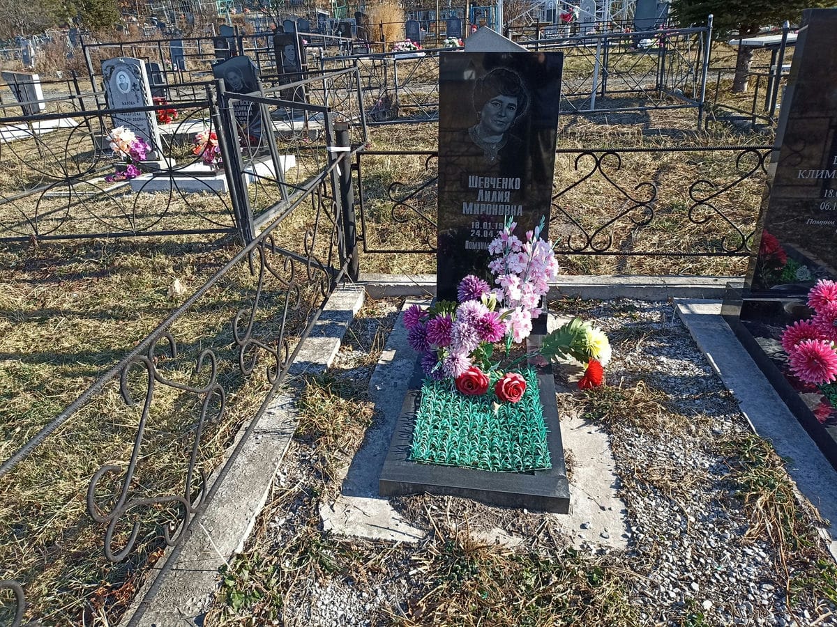 a7aab954-43e6-4ee1-b7c7-431afef9f7e1 Шевченко Лилия Мироновна