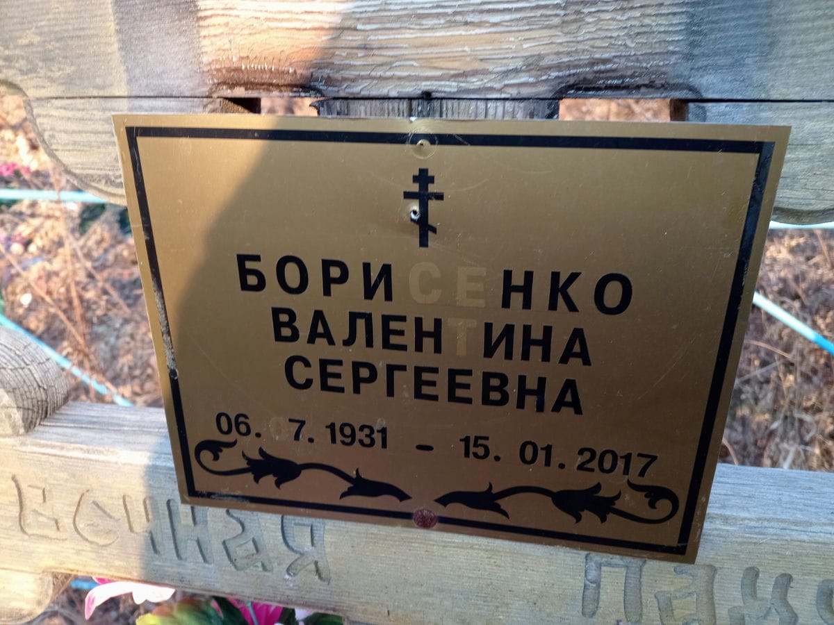 a95a3b0d-67ba-4eb2-b46c-9b9238adada9 Борисенко Валентина Сергеевна