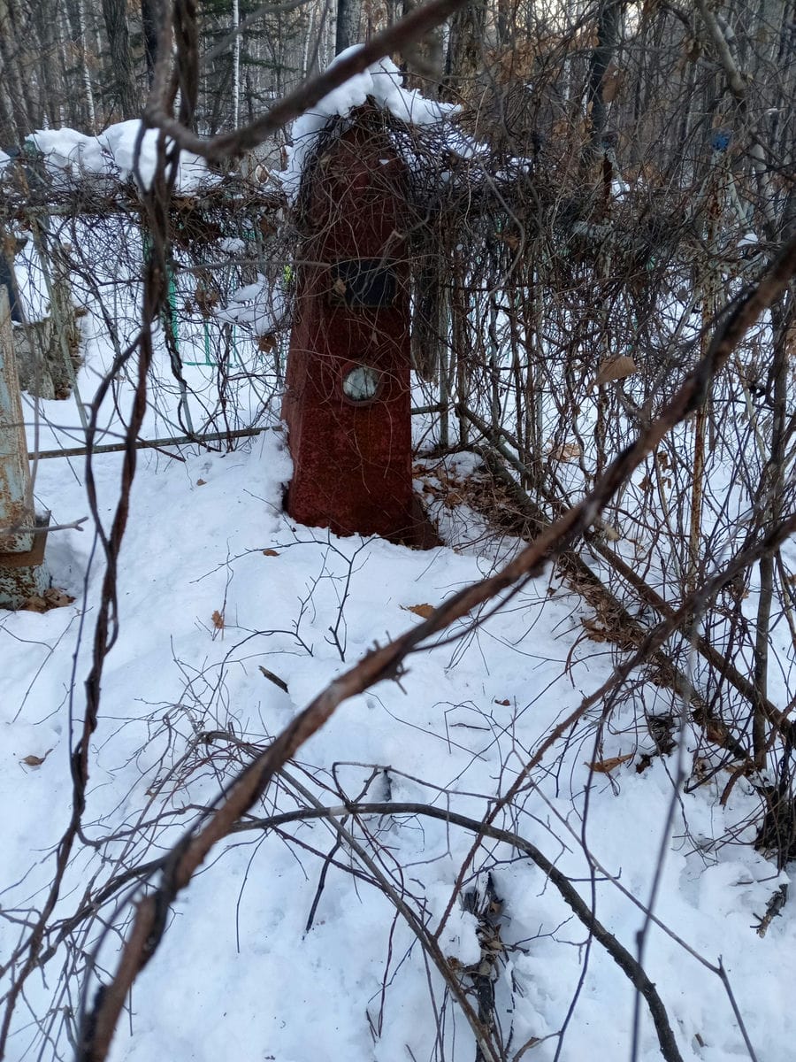 Мельникова Пелагея Андреевна