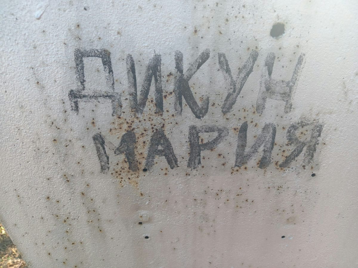 afe01e00-756a-427b-984d-e9e58abbef5f Дикун Мария Неизвестно