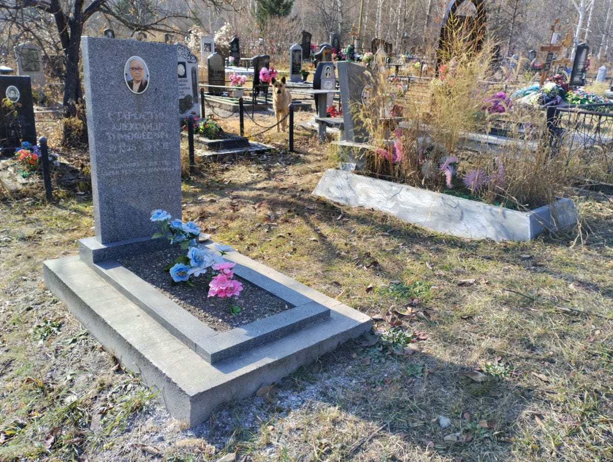 Сергиенко Майя Афанасьевна