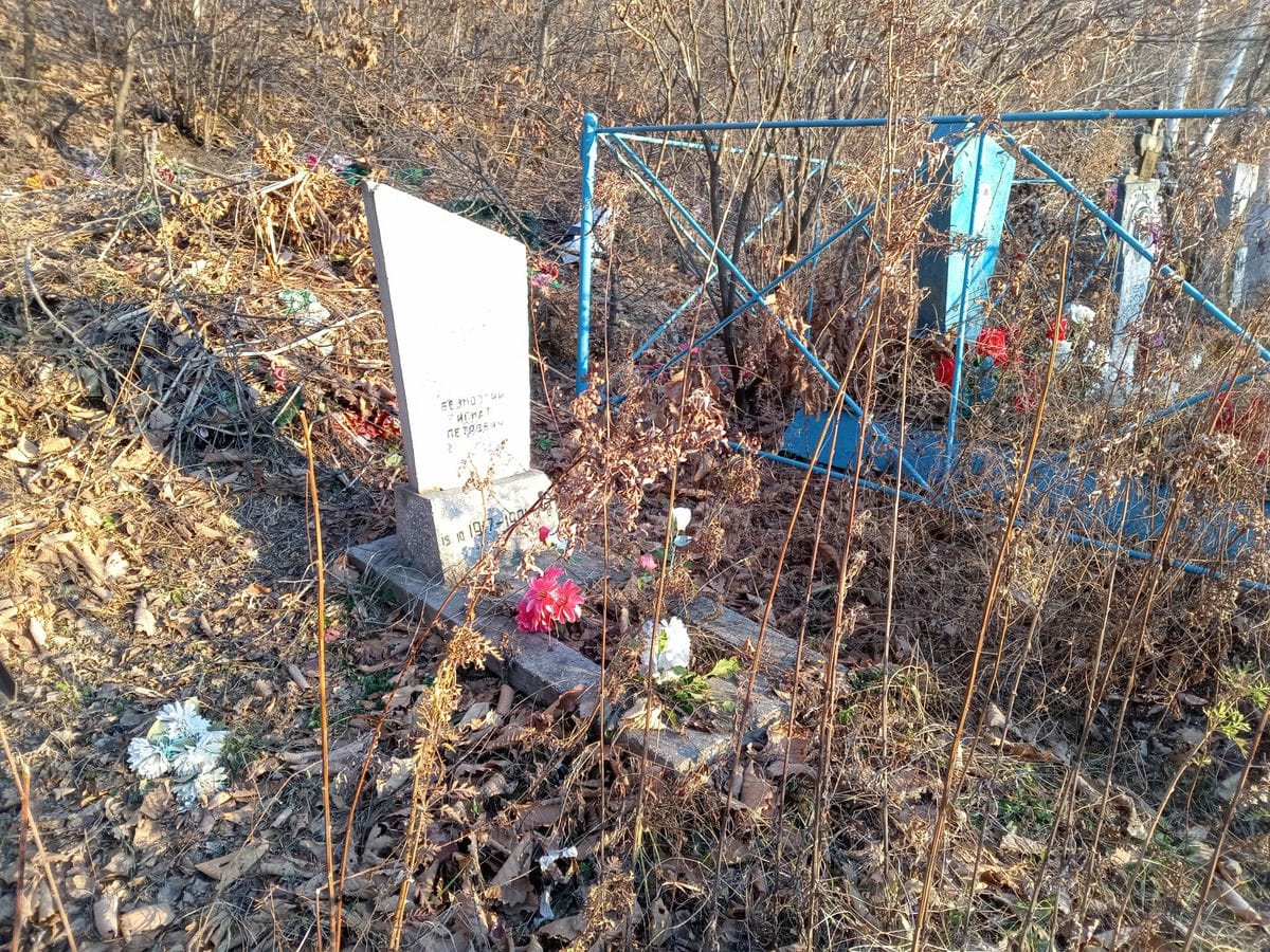 b10381d3-76c2-42ac-a174-c17f6a44d91d Безмозгий Игнат Петрович