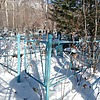 Астахова Федора Степановна