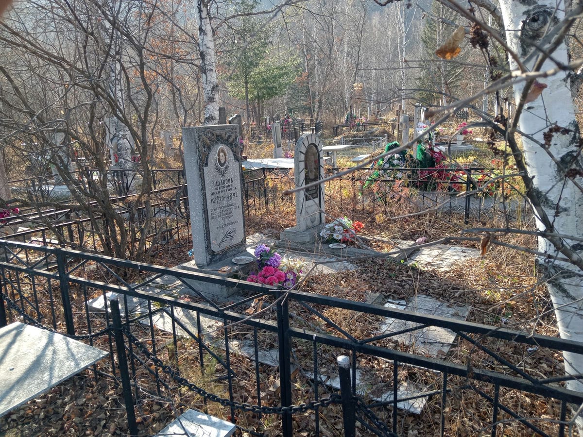 b9641485-921a-405c-b7d1-b6a45b0e41a2 Ушаков Николай Михайлович