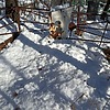 Маскалюк Варвара Константиновна