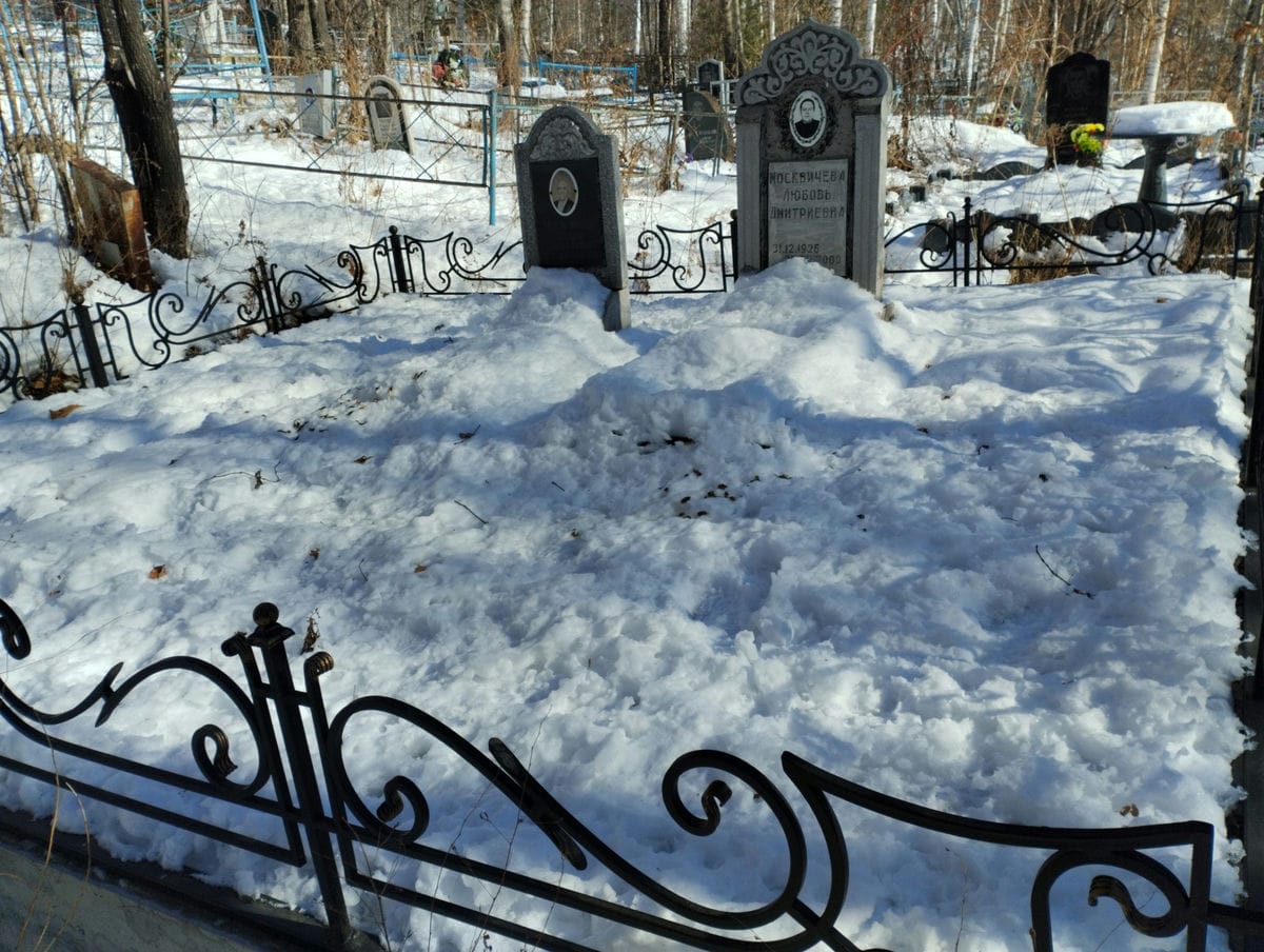 Москвичева Любовь Дмитриевна