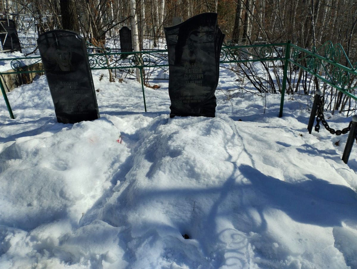 bd69a33f-9655-49ee-8795-cd4d4ee94e05 Альбитов Алексей Сергеевич