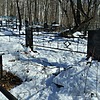 Татаурова Ульяна Кондратьевна