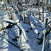 Алгазин Юрий Николаевич