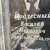 Подлесный Васлиий Иванович