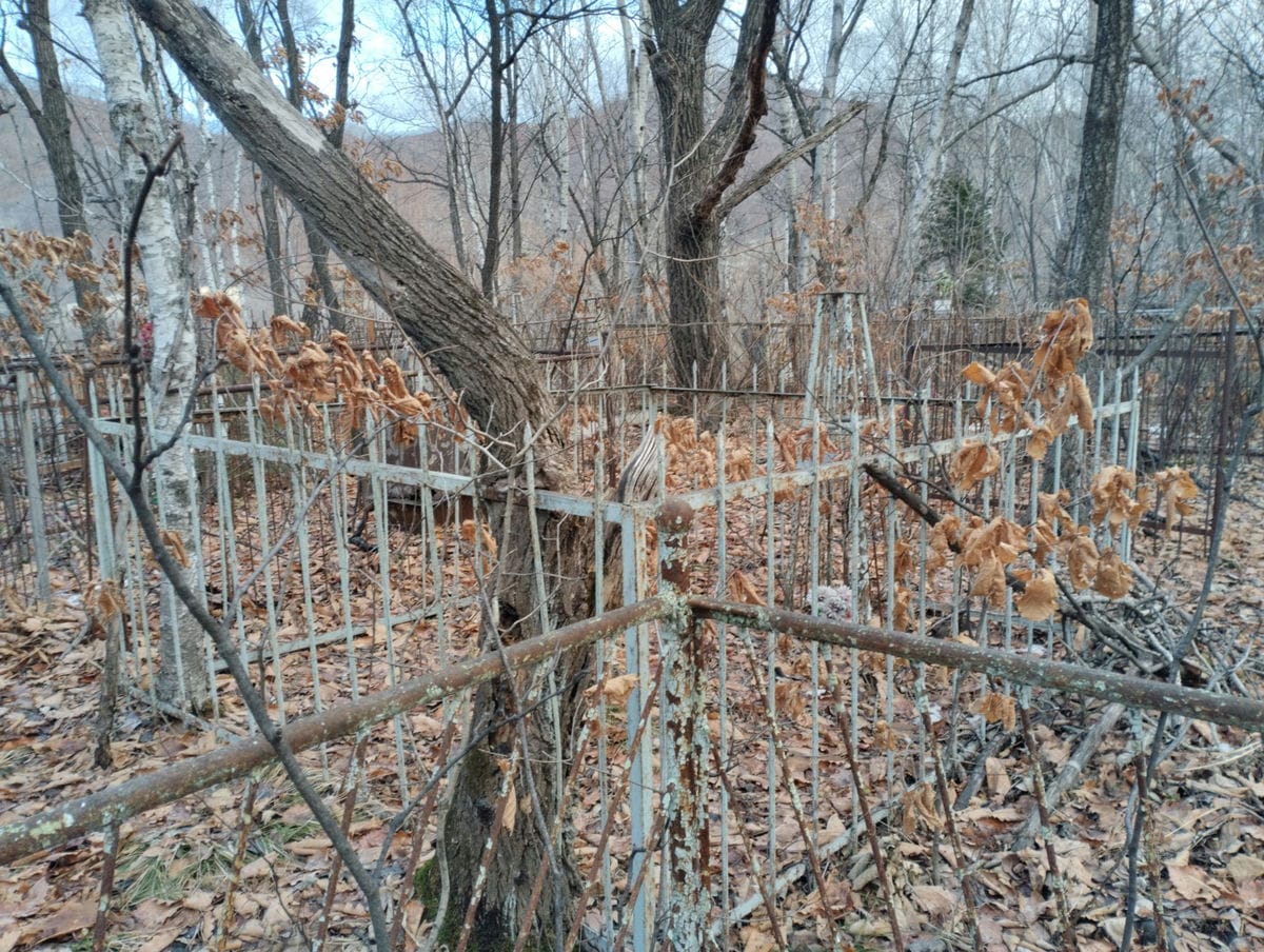 Солдатенко Максим Максимович