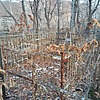 Галевский Михаил Александрович