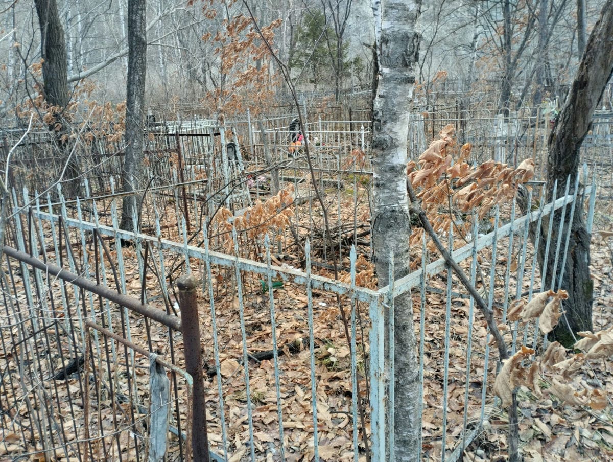 Солдатенко Максим Максимович