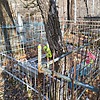 Пронякина Людмила Неизвестно