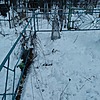 Неизвестно Неизвестно Неизвестно