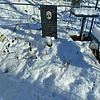 Степанюгин Алексей Васильевич