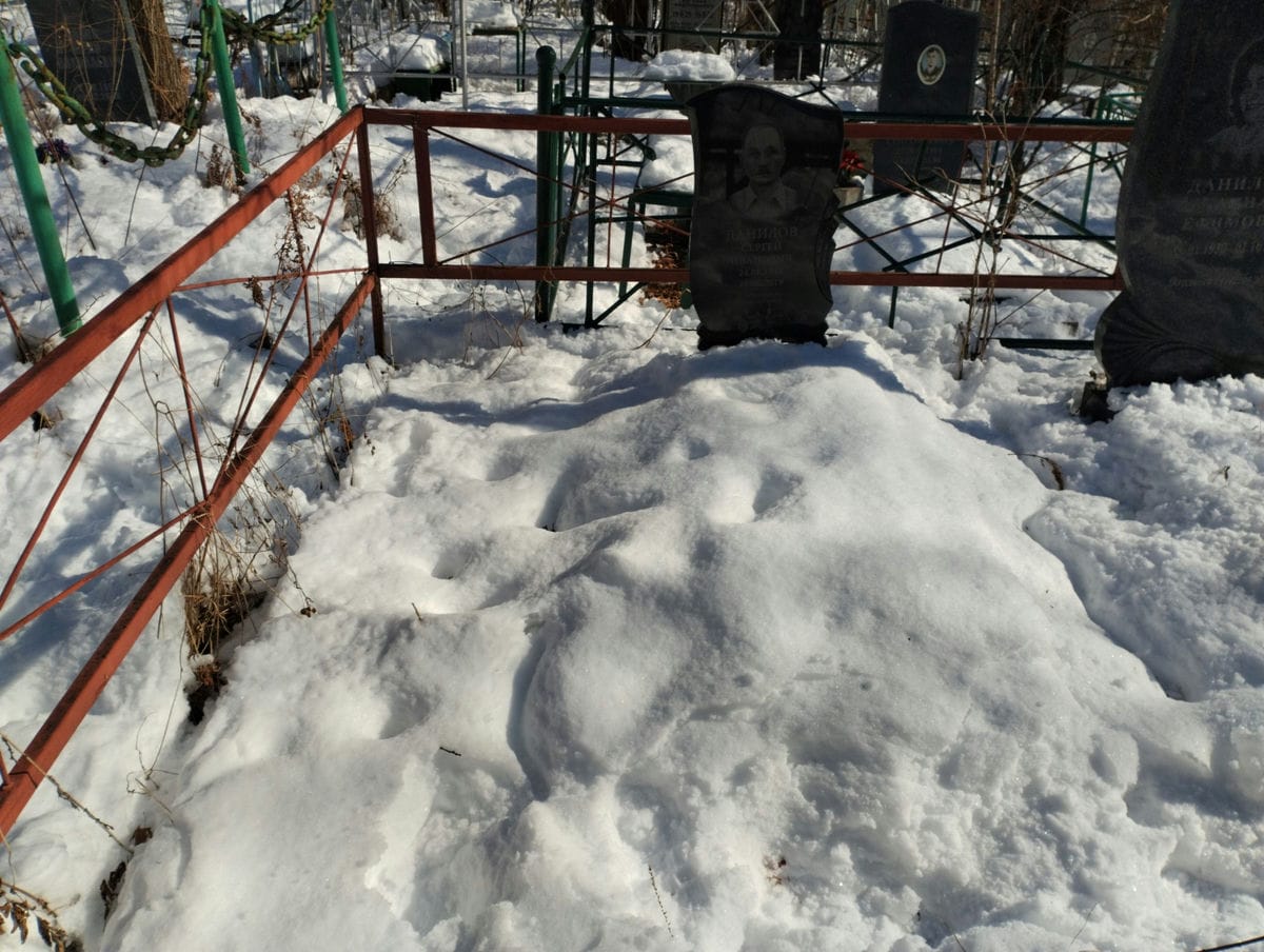 cee545ed-dfb5-4015-bda2-643225ed42d4 Данилов Сергей Иванович