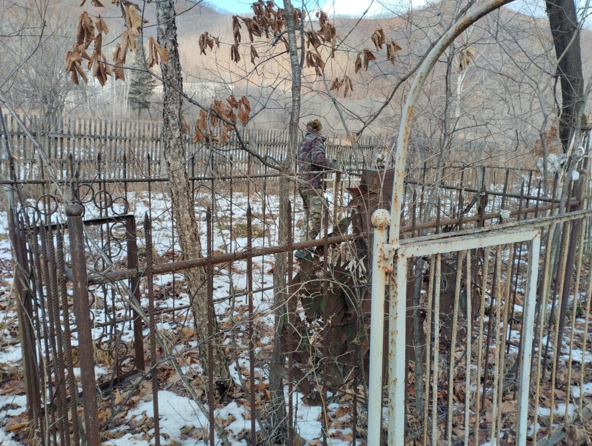 cf6678d1-86ed-4afa-bfd7-a3da7dc661d8 Неизвестно Неизвестно Неизвестно