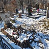 Химиченко Юлия Георгиевна