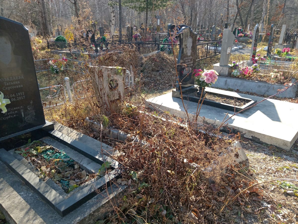 d86ec537-57af-4a2b-af60-7c36d48b38f8 Кулачков Владимир Михайлович