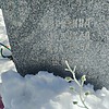 Прокина Надежда Ивановна