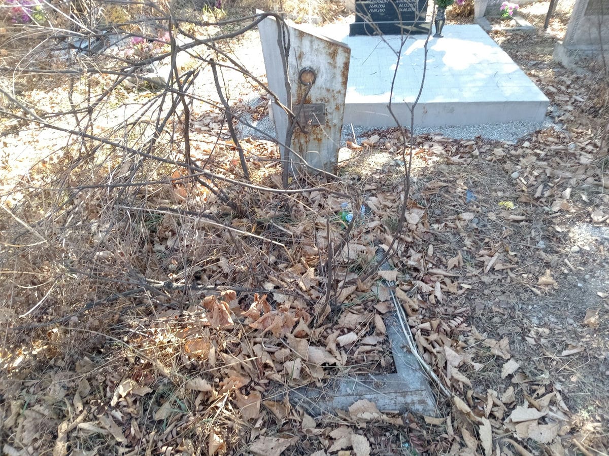 Черненков Виталий Петрович