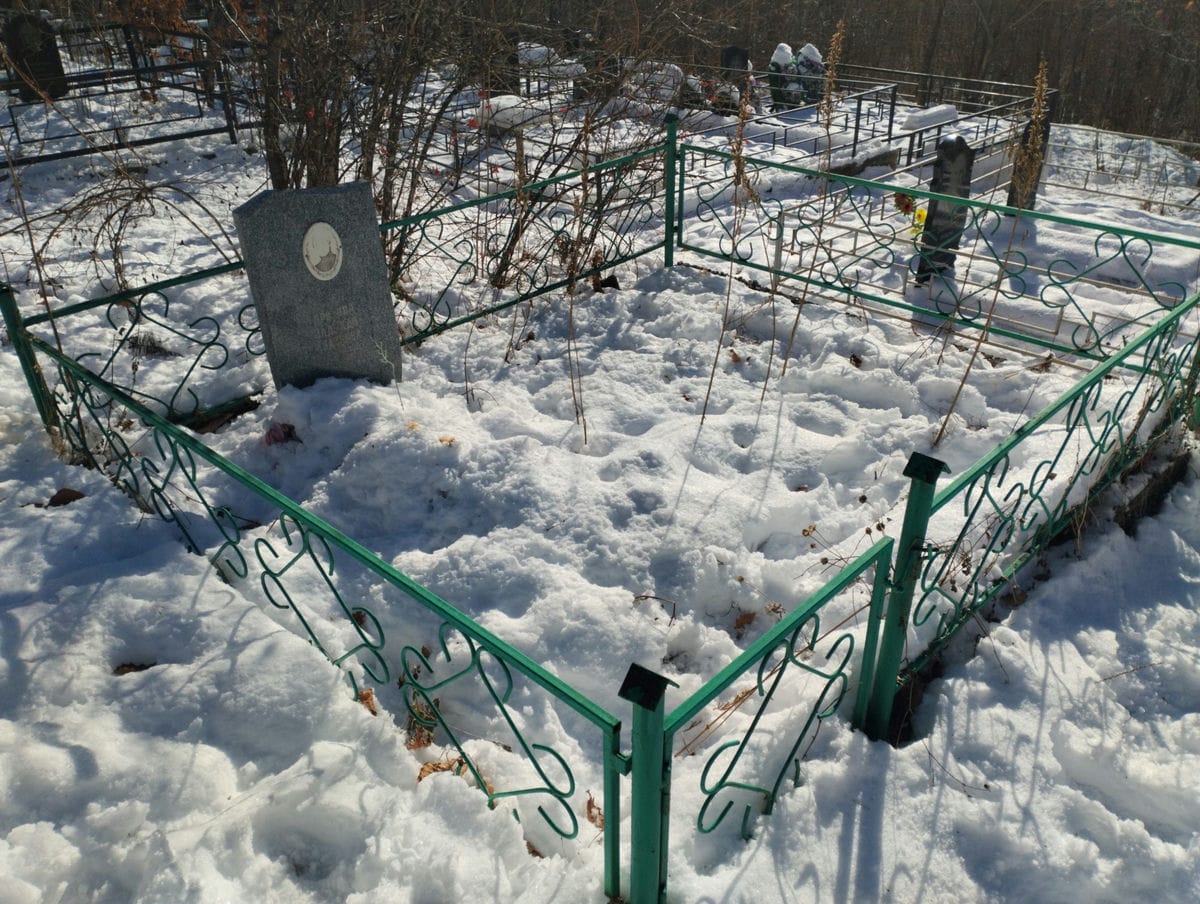 e1a9f90e-7f78-4759-a8b0-fcfb7f2e78f8 Прокина Надежда Ивановна