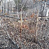 Неизвестно Неизвестно Неизвестно