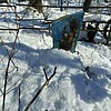 Захарова Дарья Кузьминична