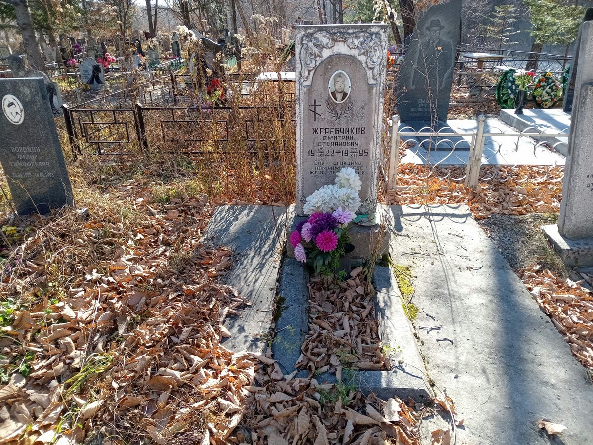 f33b0f60-9977-462e-b258-5a601f81fbf9 Жеребчиков Дмитрий Степанович