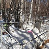 Кочелева Наталья Андреевна