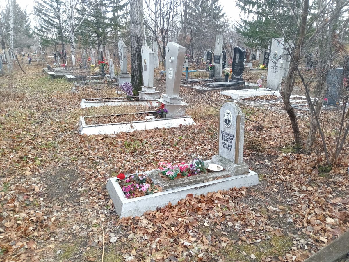 f7aeb8e2-5d34-4a49-b1f6-8fcfa5a52b9d Скоробрехо Александр Иванович