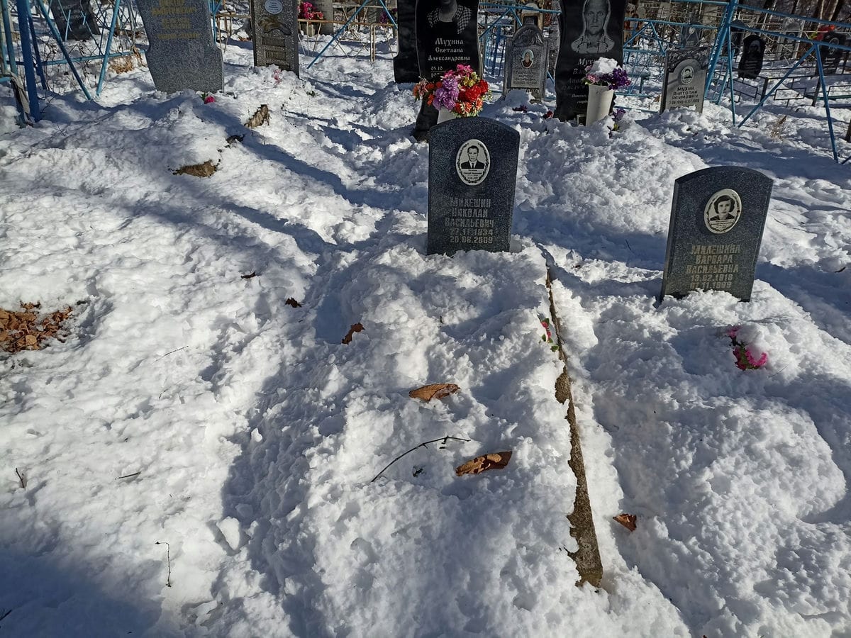 fab1904c-b21c-4a10-ae75-5aea22aff7c2 Милешин Николай Васильевич