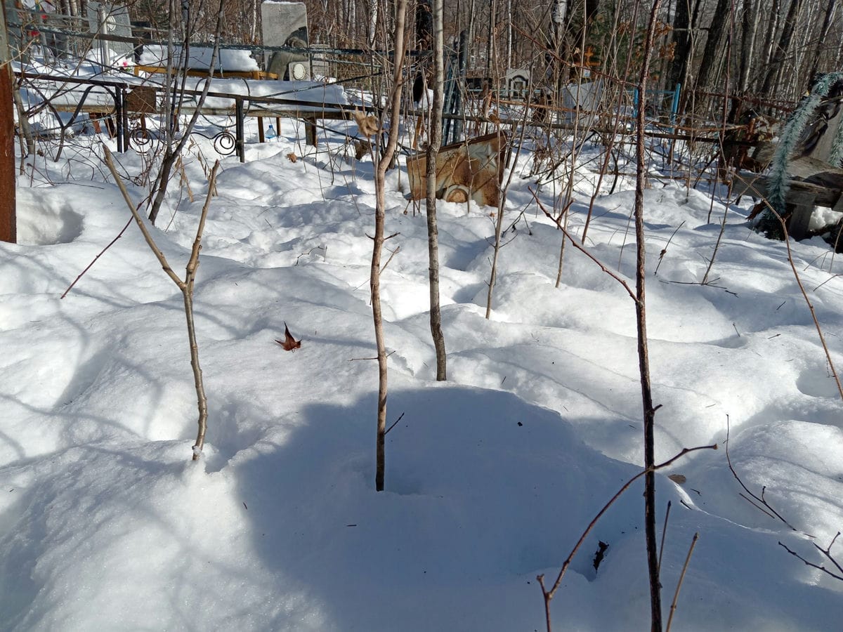 fc426f25-a589-4bc2-ae9a-e9a4add3a7eb Мартьянова Евгения Ивановна