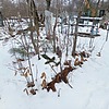Неизвестно Неизвестно Неизвестно