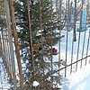 Хлебобарова Зинаида Порфирьевна