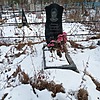 Лейман Екатерина Яковлевна