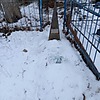 Сидоров Иван Иванович