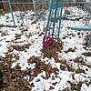 Кичко Василий Семёнович