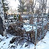 Полянская Любовь Михайловна