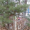Резник Павел Петрович