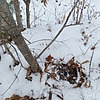 Неизвестно Неизвестно Неизвестно