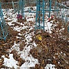 Кичко Семён Иванович