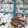 Неизвестно Неизвестно Неизвестно