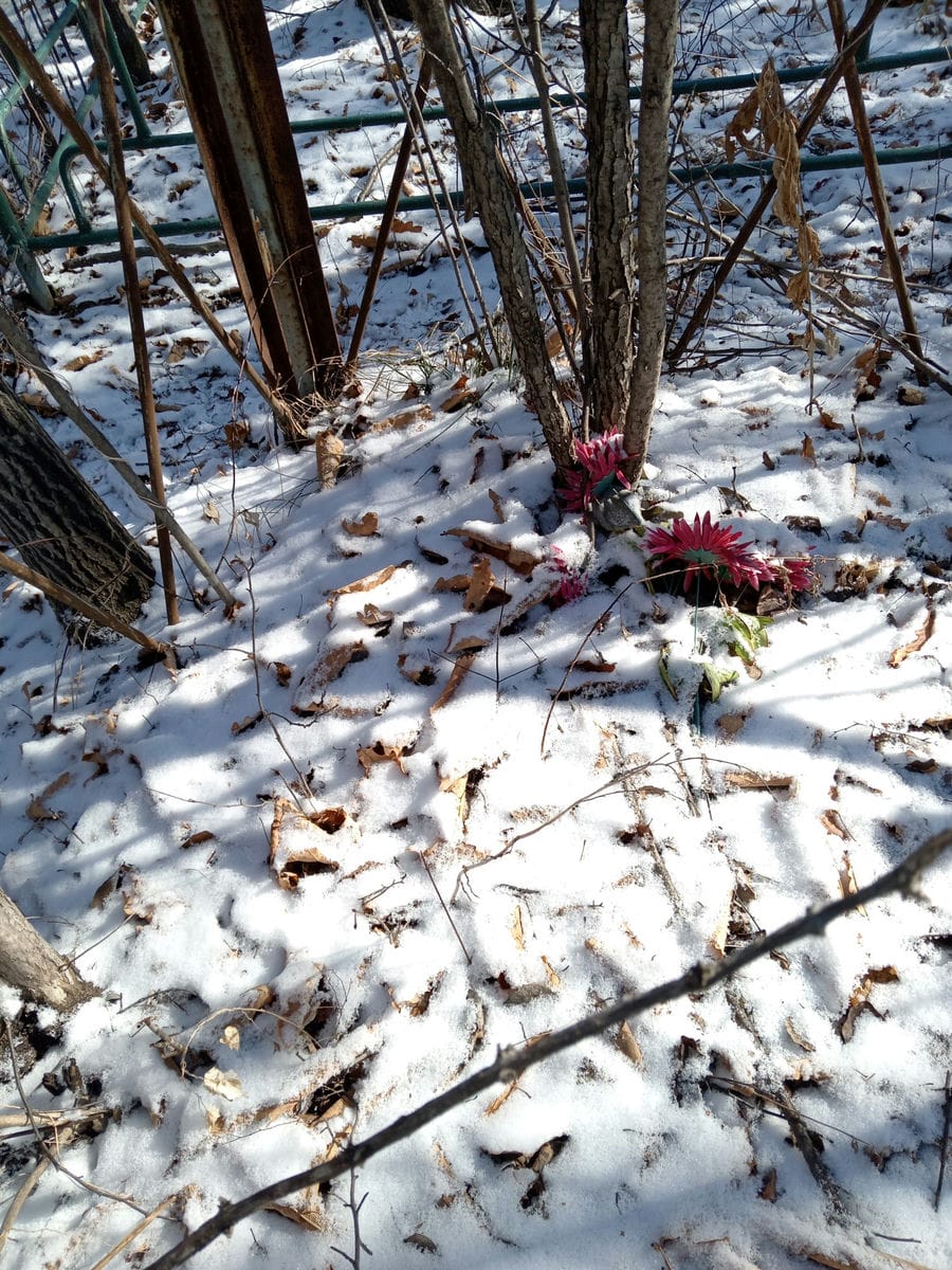 Неизвестно Неизвестно Неизвестно