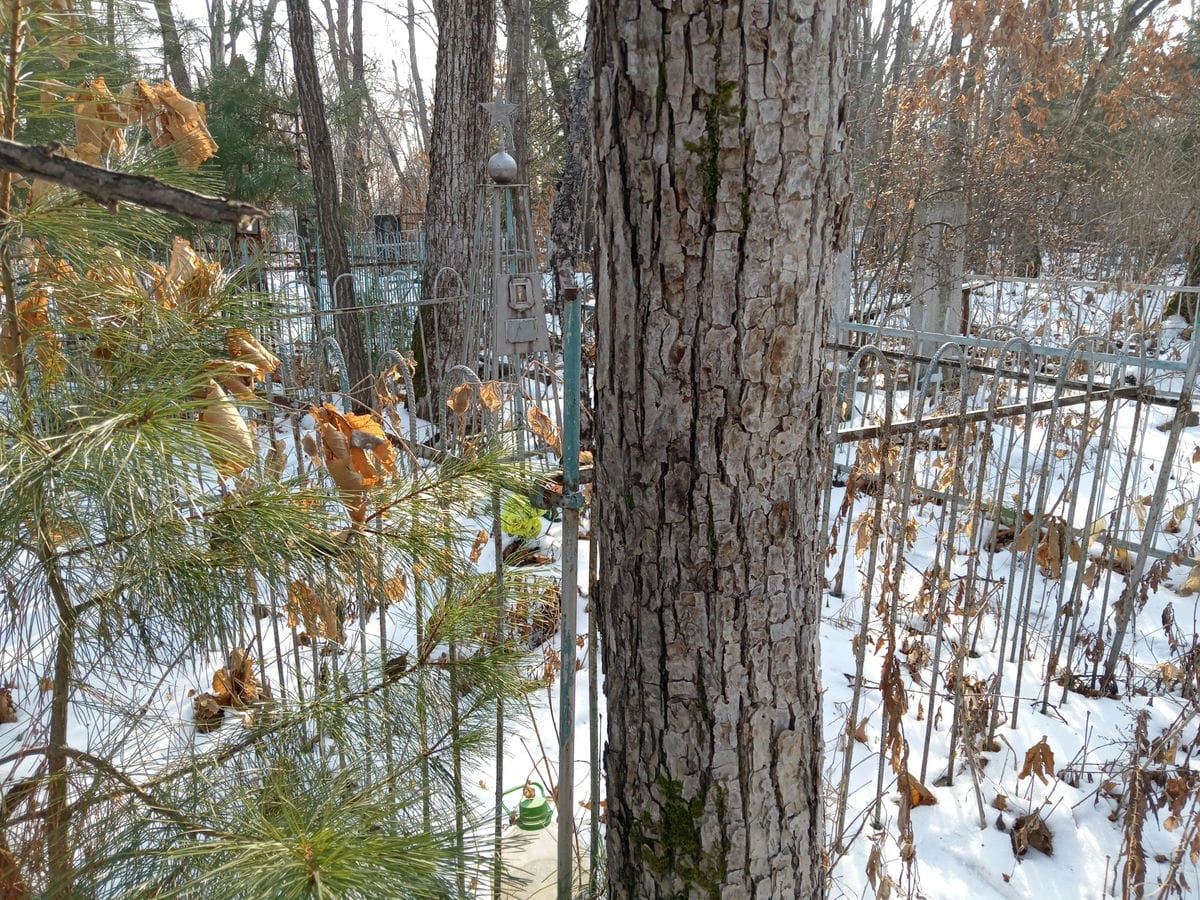 Мурзин Савелий Иванович