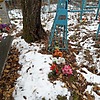 Кичко Анастасия Павловна