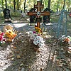 Бесчетнов Виктор Григорьевич