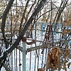 Зикунова Фекла Давыдовна